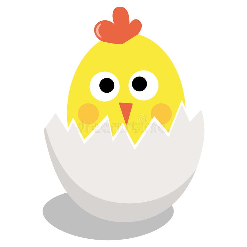 Cute yellow chick hatched from white egg. Easter vector illustration for card, poster, decoration. Cute yellow chick hatched from white egg. Easter vector illustration for card, poster, decoration