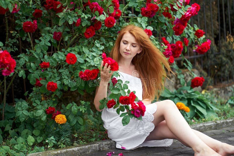 Mignonne romantique rousse aux pieds nus vêtue d'une robe blanche et élégante assise sur fond de roses en fleurs et tenant un photos libres de droits Mignonne romantique rousse aux pieds nus vêtue d'une robe blanche et élégante assise sur fond de roses en fleurs et tenant un photos libres de droits