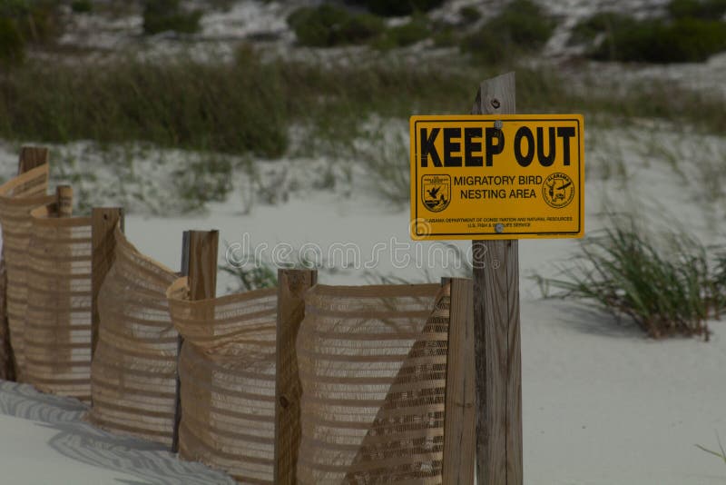 Migratory Birds Fencing