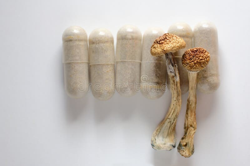 Mikrodosierkonzept. Trockenpsilocybin-Pilze und natürliche Kräutertabletten auf weißem Grund.