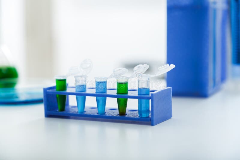 Mikrorör med biologiska prövkopior i laboratoriumet för DNAanalys