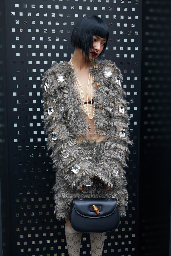 Mujer Con Zapatos De Tacón Altos De Louis Vuitton Antes Del Show De Moda  Gucci Milan Moda Semana Estilo Calle Imagen de archivo editorial - Imagen de  alto, mirada: 194554909