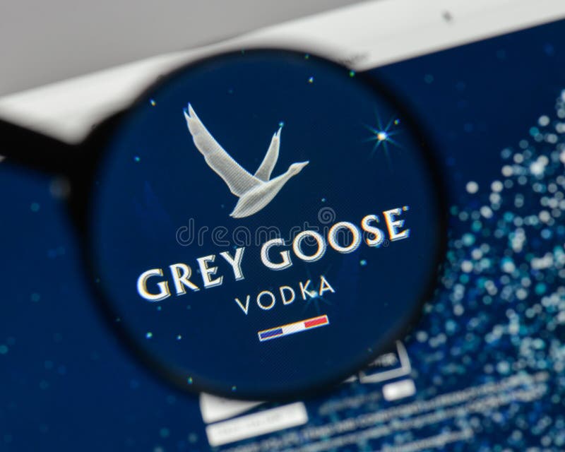 grey goose logo vx 300dpi grey goose logo vx 300dpi