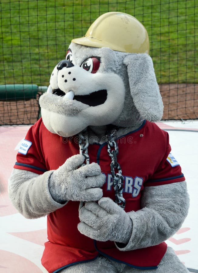 MiLB minor league baseballa maskotka Nieskładna zdjęcia royalty free MiLB minor league baseballa maskotka Nieskładna zdjęcia royalty free