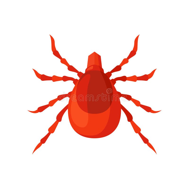 Milbeninsektenvektorillustration auf einem weißen Hintergrund vektor abbildung Milbeninsektenvektorillustration auf einem weißen Hintergrund vektor abbildung
