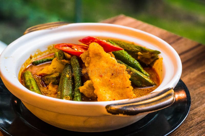 Mild Fish Curry with Chilli, Lady`s Fingers, Okra, Long Beans, Snap Beans Stock Photo Image of