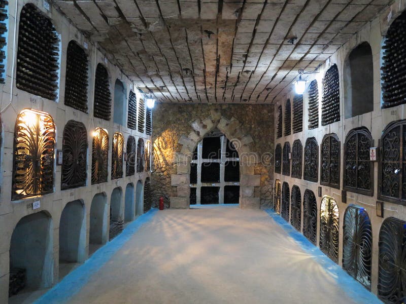 27 08 2016, Milestii Mici, el Moldavia: Detalle del vino más grande fotos de archivo libres de regalías 27 08 2016, Milestii Mici, el Moldavia: Detalle del vino más grande fotos de archivo libres de regalías
