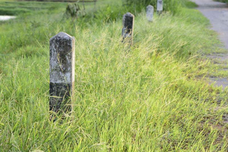 Milestone and road with grass stock image Milestone and road with grass stock image