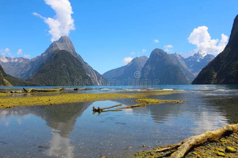 Milford Sound, fiordland Nationalpark, Neuseeland stockfotos Milford Sound, fiordland Nationalpark, Neuseeland stockfotos