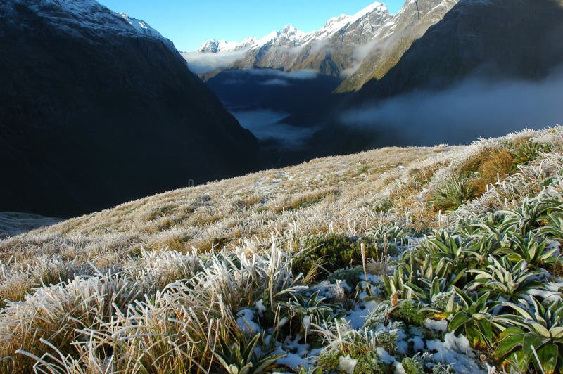 Milford track landscape