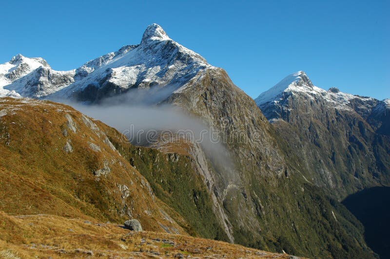 Milford track landscape