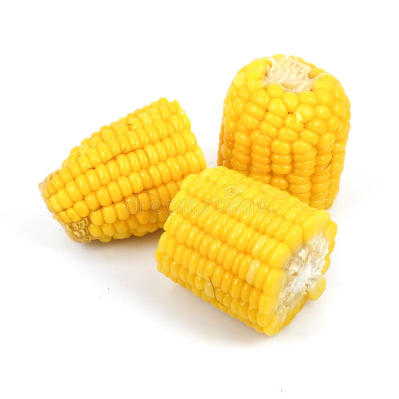 Boiled corn in white background. Boiled corn in white background