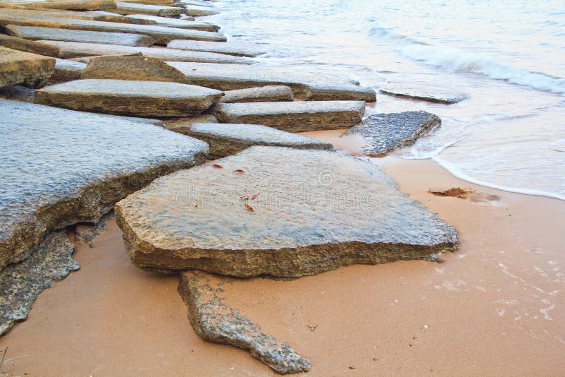 Concha fóssil com 75 milhões de anos imagens de stock