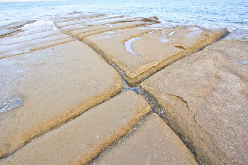 Concha fóssil com 75 milhões de anos fotos de stock royalty free