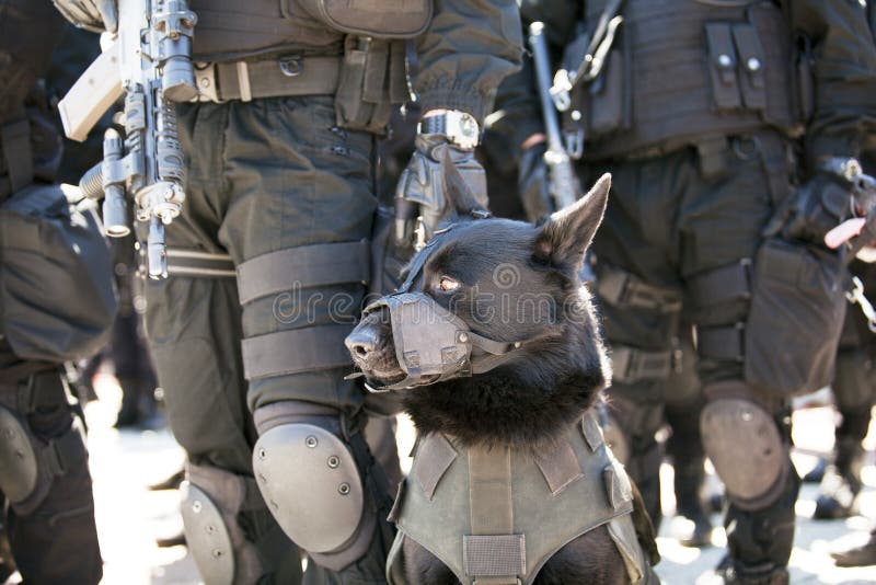 Milicyjny pies