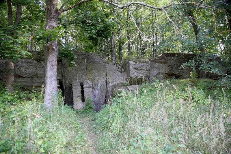 Military Bunker in the Forest WW2, Kaunas County, Vaisvydava Stock ...
