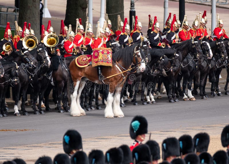 Drum Horse at Trooping the Colour military parade at Horseguards, Westminster UK, marking Queen Elizabeth`s Platinum Jubilee.