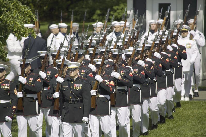 Militären förgrena sig royaltyfri bild Militären förgrena sig royaltyfri bild