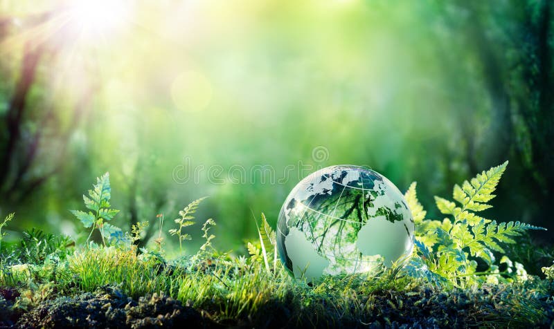 Globe On Moss In Forest - Environmental Concept. Globe On Moss In Forest - Environmental Concept