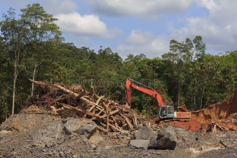 Rain Forest is destroyed to make way for palm oil plantations in Borneo, Malaysia. Rain Forest is destroyed to make way for palm oil plantations in Borneo, Malaysia
