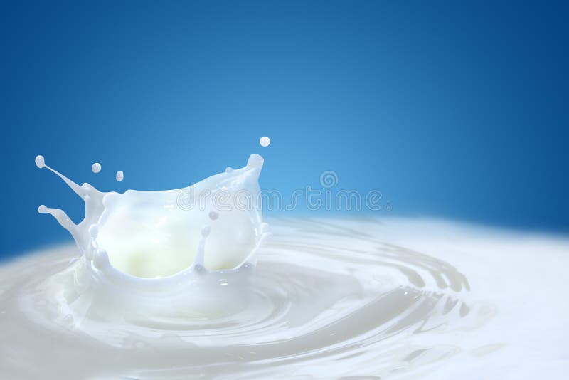 Latte splash su sfondo blu.