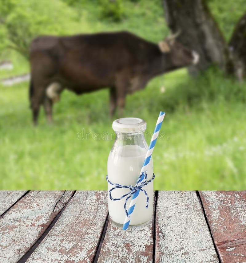 Milk Bottle with Striped Straw. Cow`s Milk Overlooking a Meadow Stock