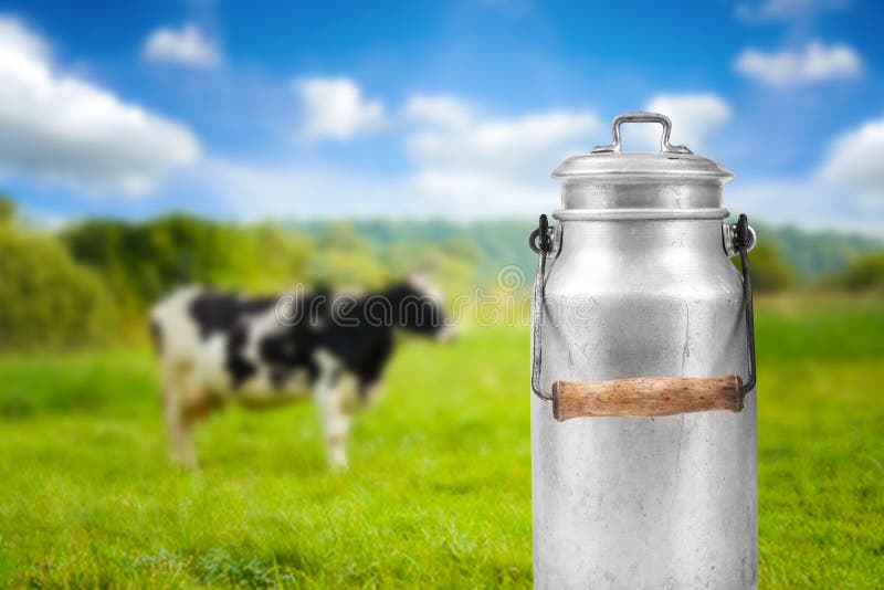 Milk can against cow pasture meadow