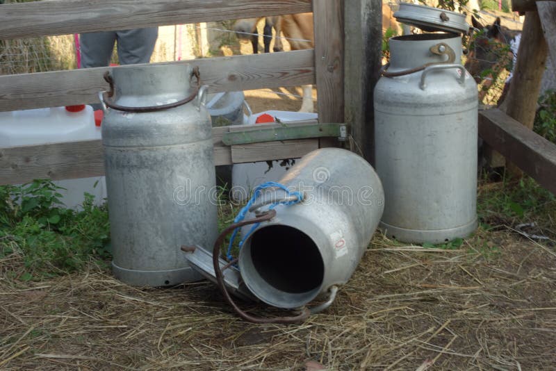 Milk cans on a dairy farm stock photo. Image of farm 238967474