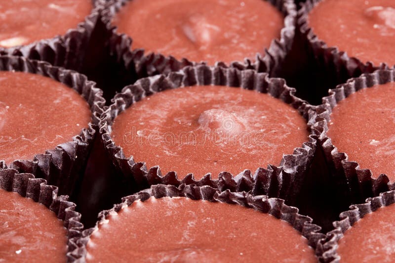 Milk chocolate cups stock photo. Image of collection 32930858