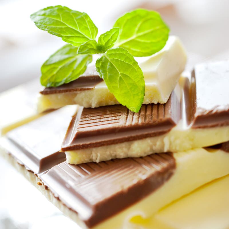 Milk Chocolate with Fresh Mint Stock Image Image of dessert, milk