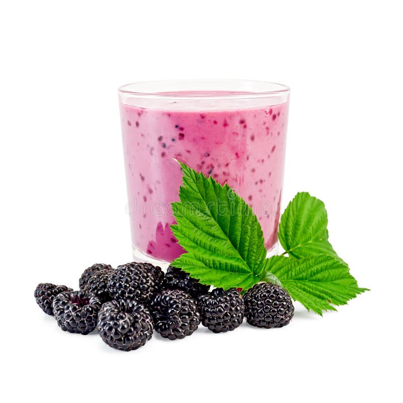 Milk Cocktail with Blackberries Stock Image Image of food, berries