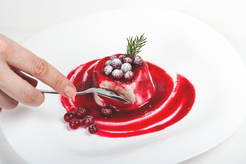 Milk dessert panna-cotta with cranberry sauce