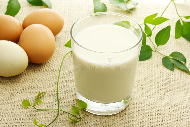 Milk and eggs stock photo. Image of inside, natural, glass 3726348