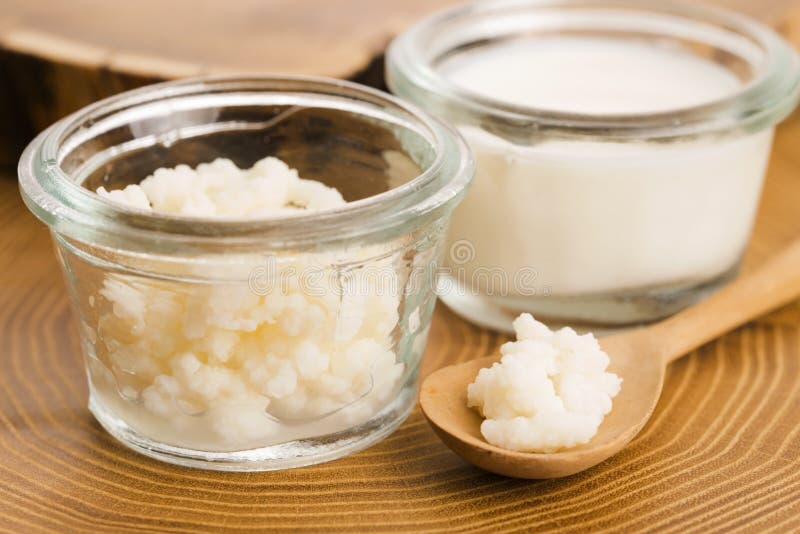 Kefir grains : 3 234 images, photos de stock, objets 3D et images