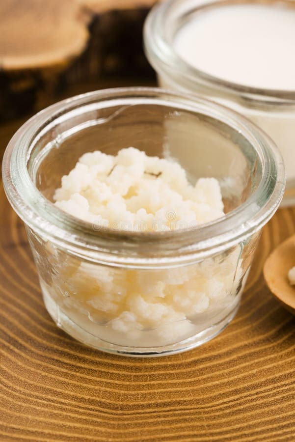 Milk kefir grains stock image. Image of fermented, healthy 69237117