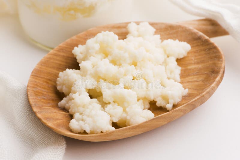 Milk Kefir Grains in Spoon. Yeast Bacterial Fermentation Starter Stock