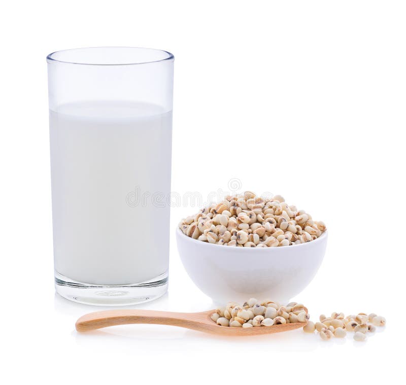 390 Milk Porridge Rice Millet Stock Photos Free & RoyaltyFree Stock