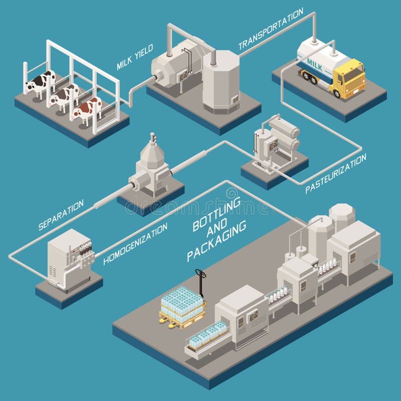 Milk Production Isometric Flowchart Stock Vector Illustration Of