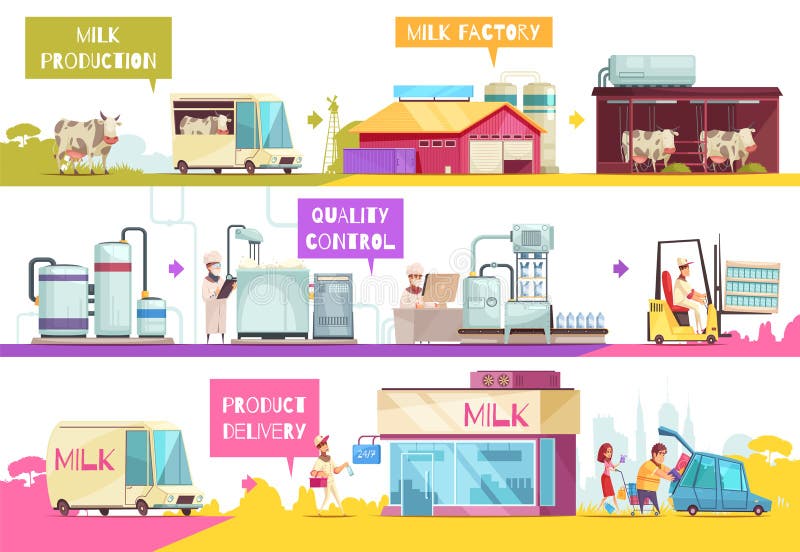 Cow And Milk. Infographics Getting Natural Milk. Stages Of Pro Stock ...