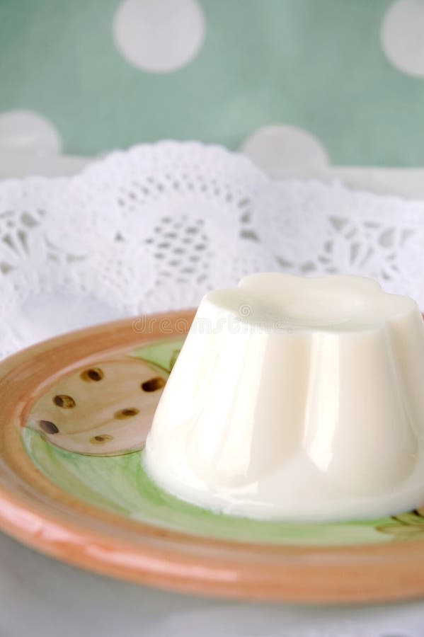 Milk pudding dessert