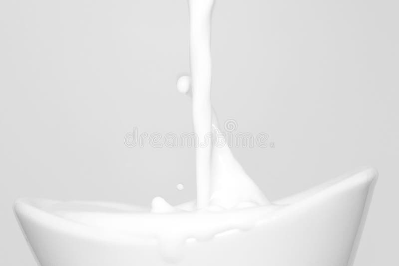 Milk splash macro background royalty free stock images