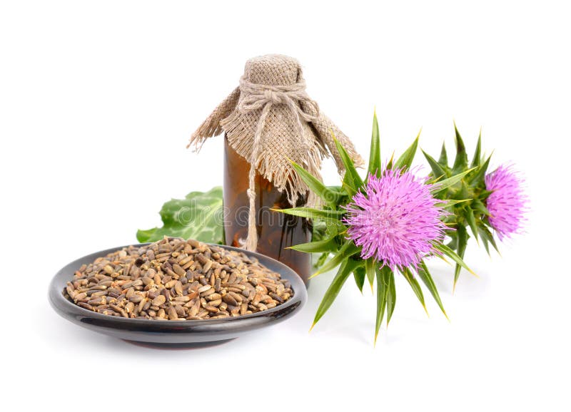 Milk thistle oil with flowers and seeds.