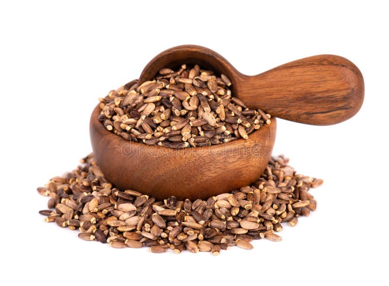 Milk Thistle seed in wooden bowl and spoon, isolated on white background. Silybum marianum, Scotch Thistle or Marian stock images
