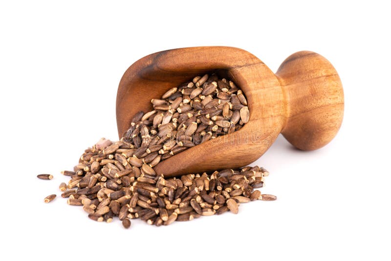 Milk Thistle seed in wooden scoop, isolated on white background. Silybum marianum, Scotch Thistle or Marian Thistle. royalty free stock images