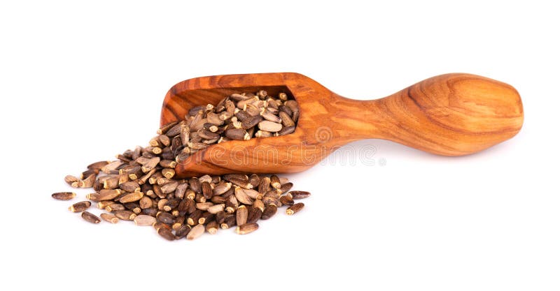 Milk Thistle seed in wooden scoop, isolated on white background. Silybum marianum, Scotch Thistle or Marian Thistle. royalty free stock photo