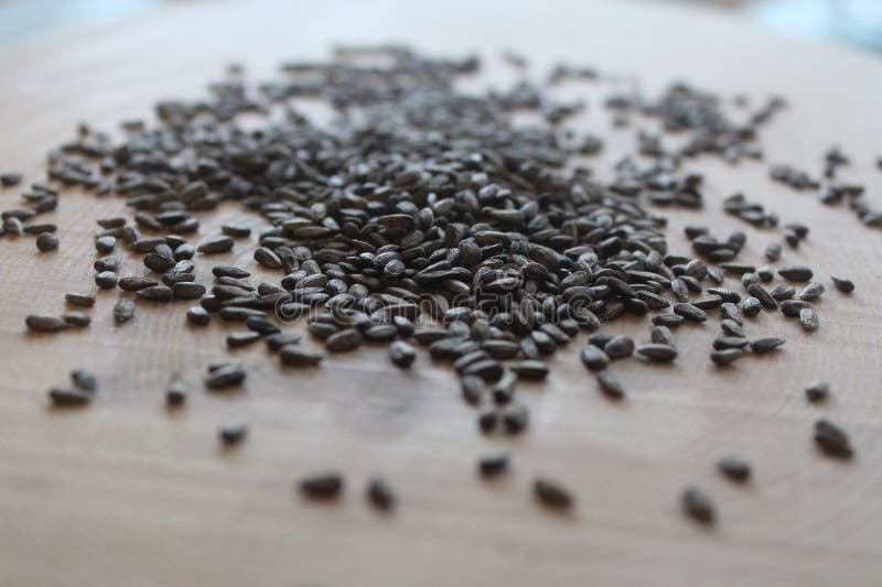 Milk thistle seeds stock photo. Image of healthy, natural 129201644