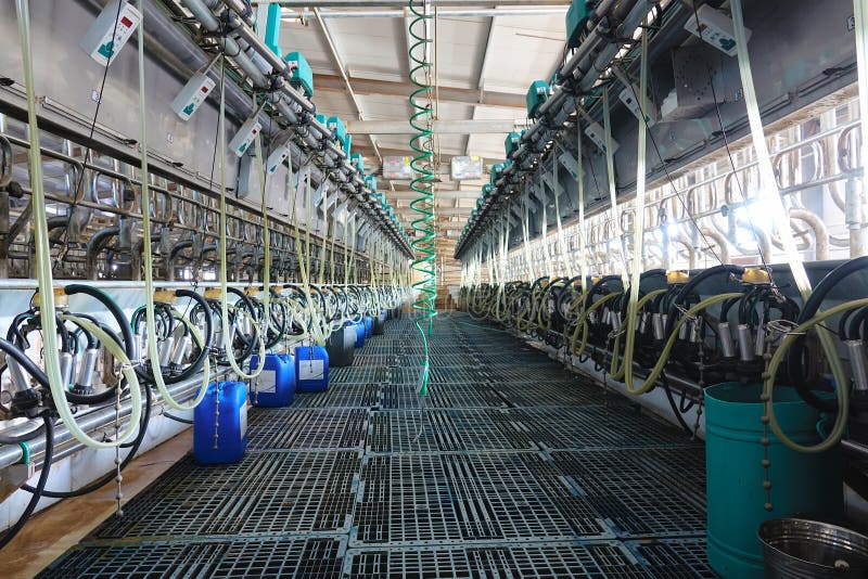 Milking equipment royalty free stock photo
