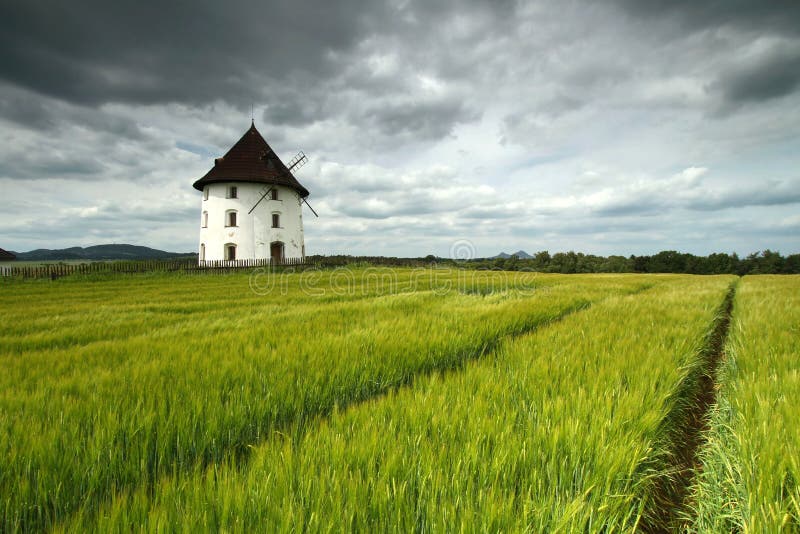 Mill House and Barley Field Stock Photo Image of barley, millhouse