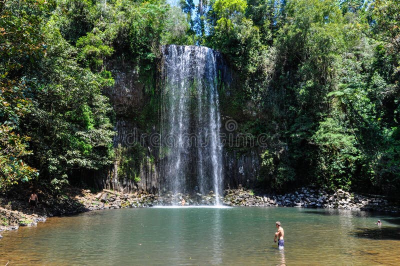 Millaa Millaa tombe en plateaux d'Atherton, Australie photos libres de droits Millaa Millaa tombe en plateaux d'Atherton, Australie photos libres de droits