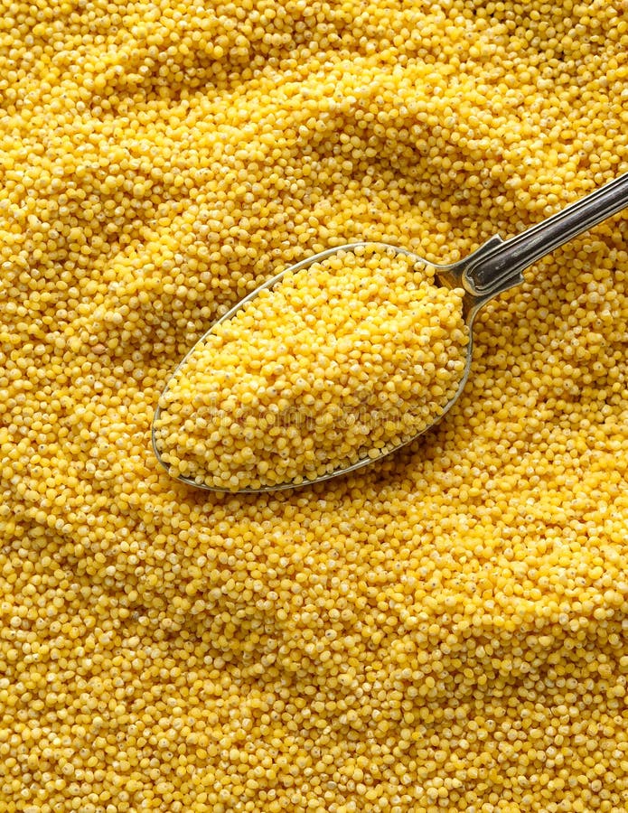 Millet Cereal Grains in Spoon. Organic Concept Stock Photo Image of